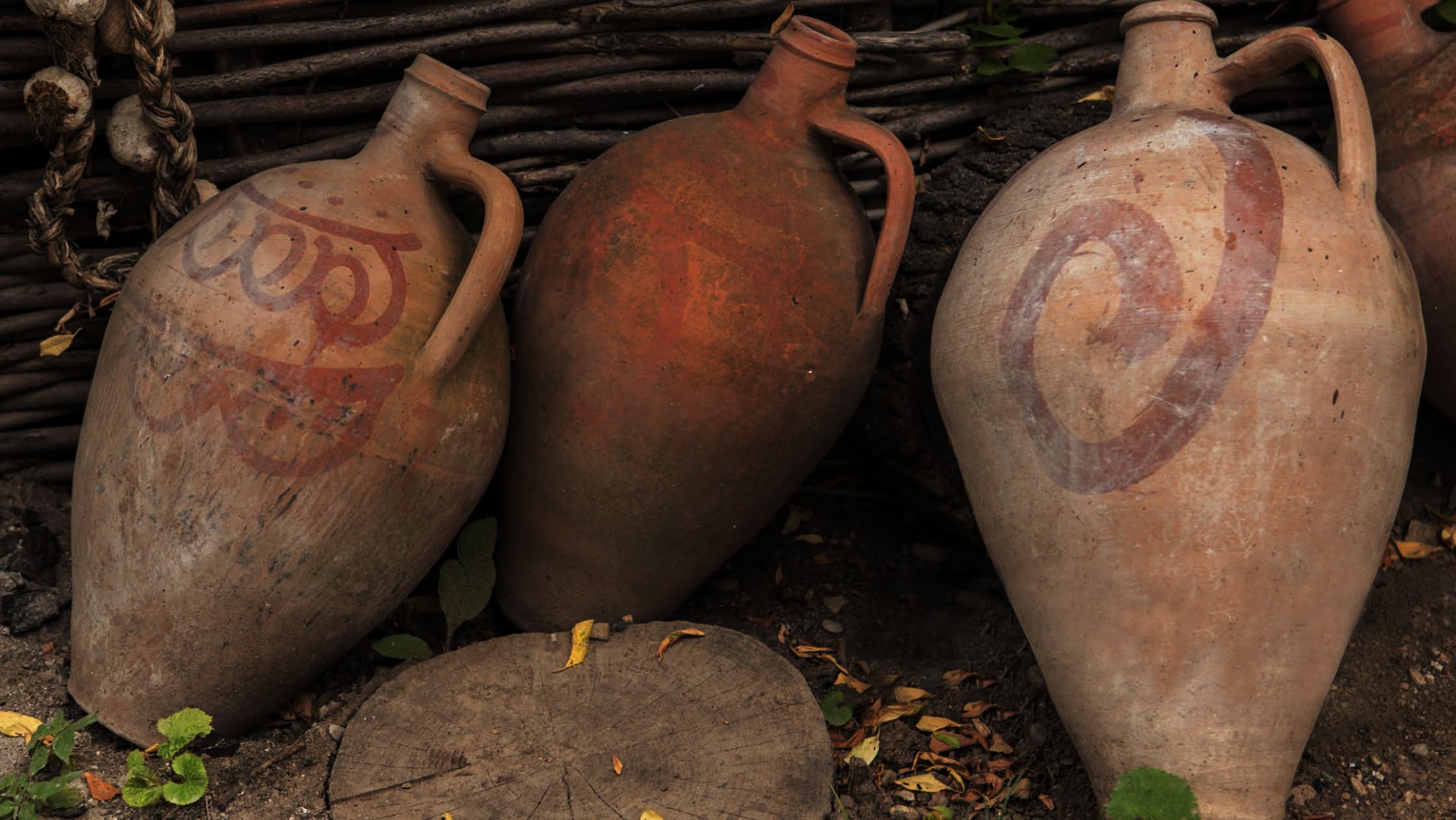 Three terracotta qvevri leaning against a woven branch fence, the right hand vessel carrying the hand painted rust red ARAGVI spiral